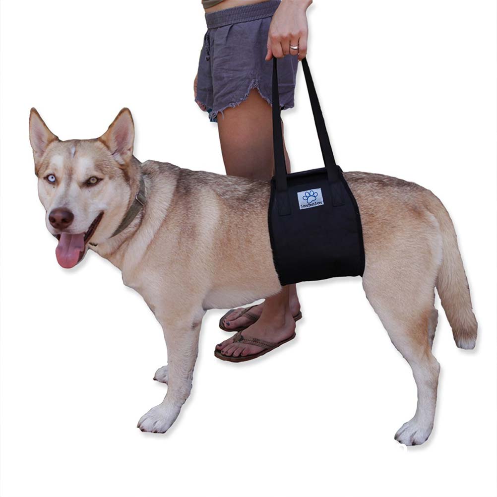 1 Dog Lift Support Harness