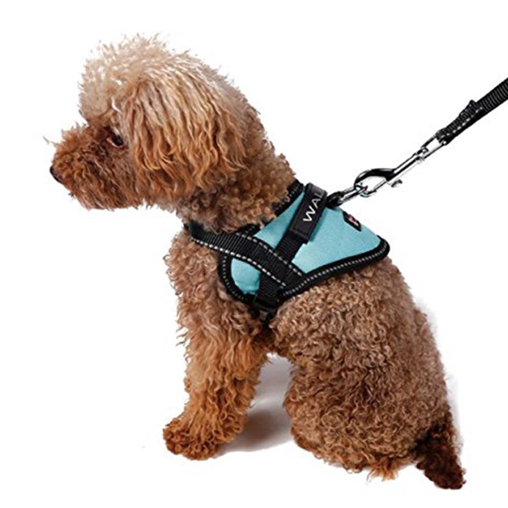ESA Harness And Leash Set ESA Harness And Leash Set