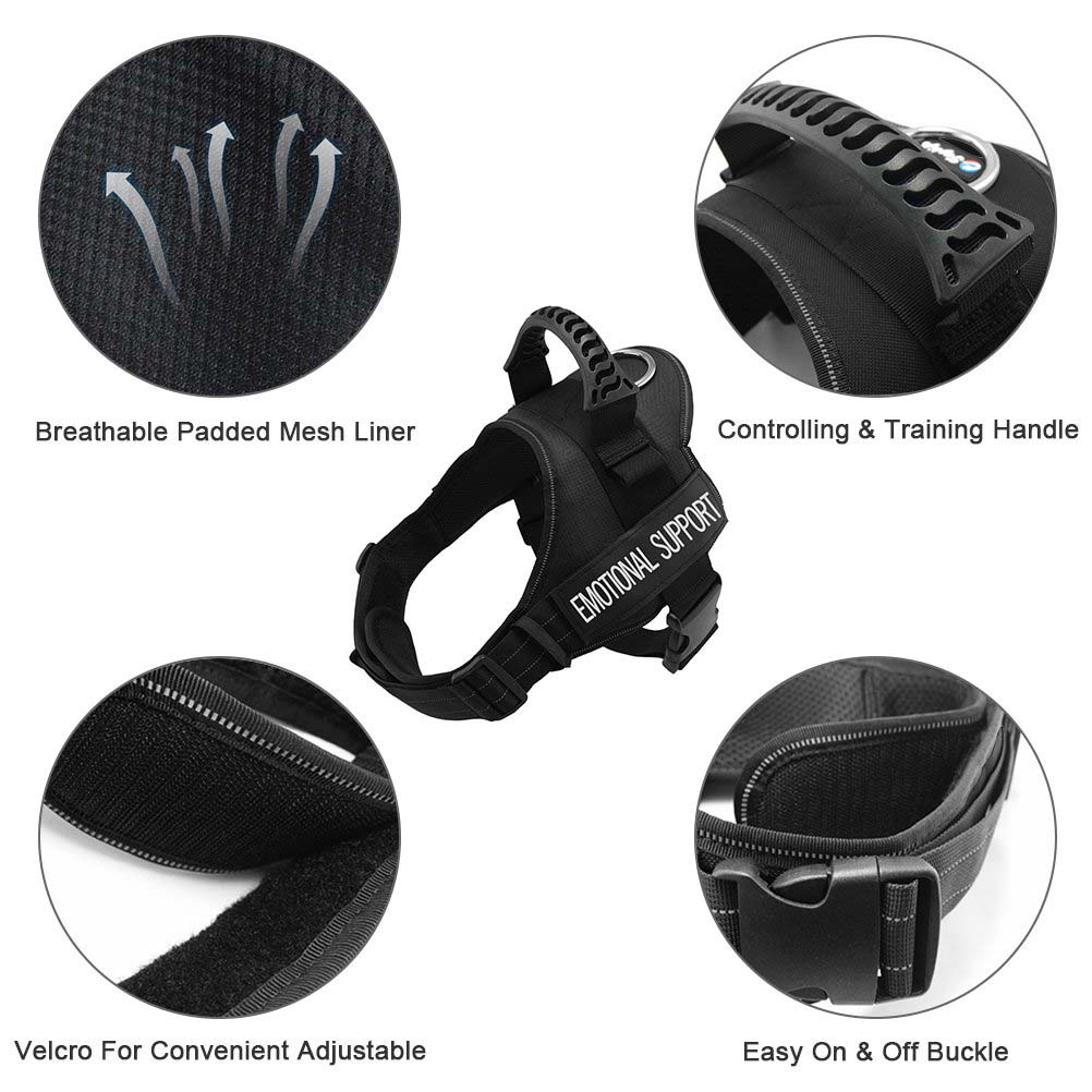 3 Vest For Dogs And Cats