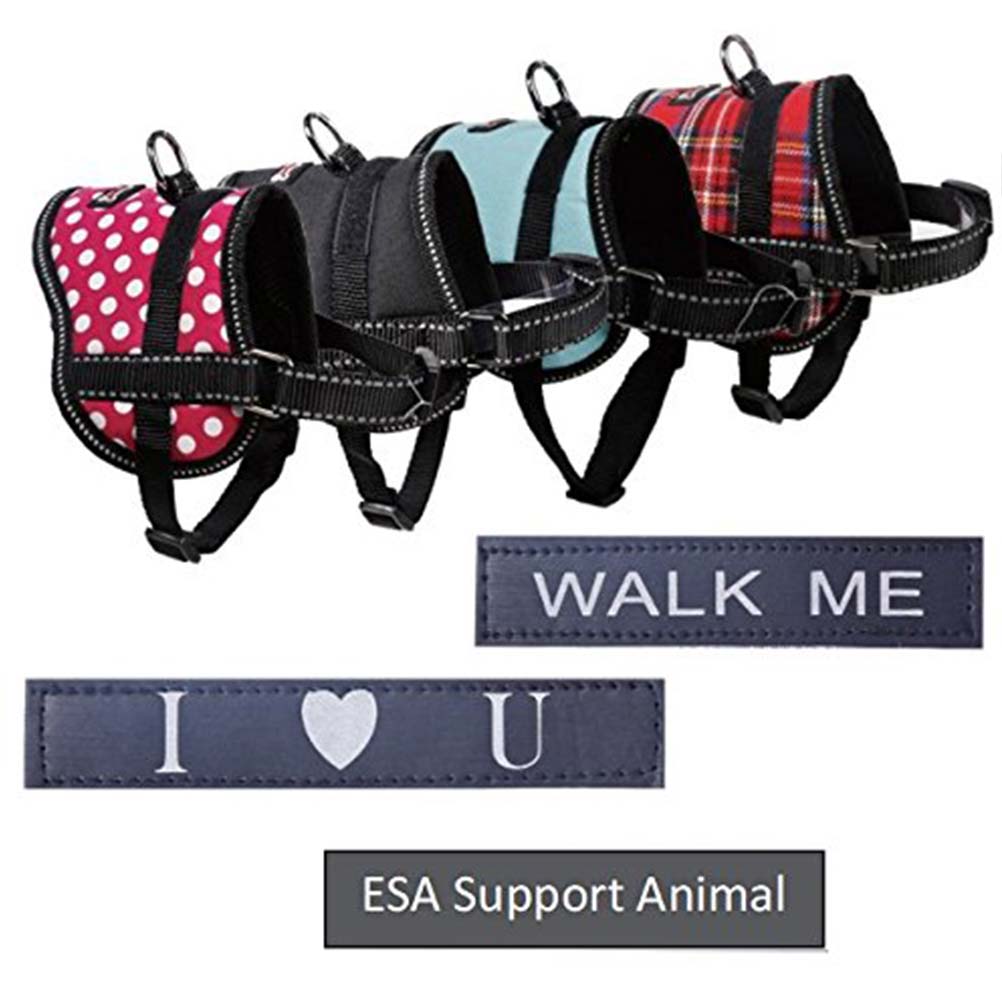 ESA Harness And Leash Set ESA Harness And Leash Set