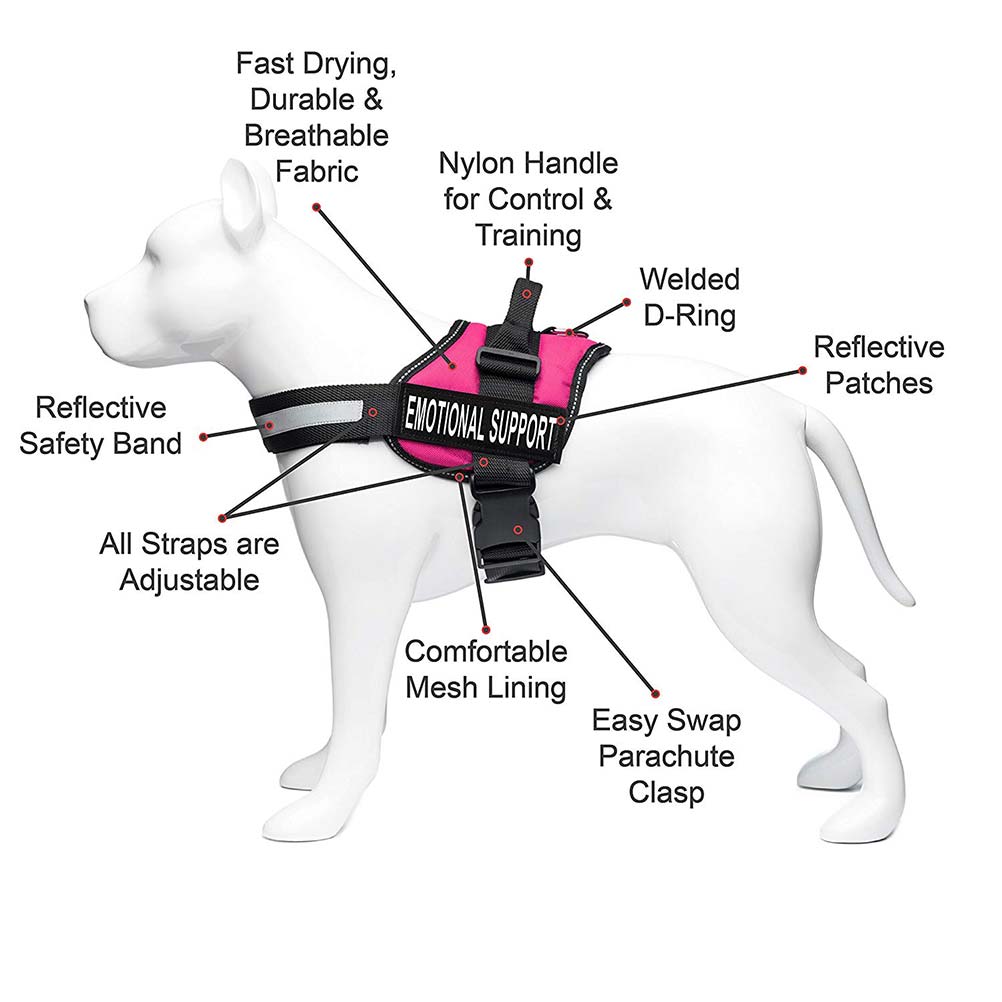 4 Dog Harness With Reflective Straps