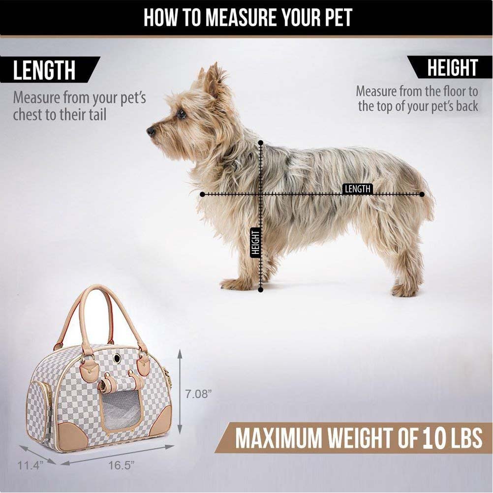 4 Measure Your Pet