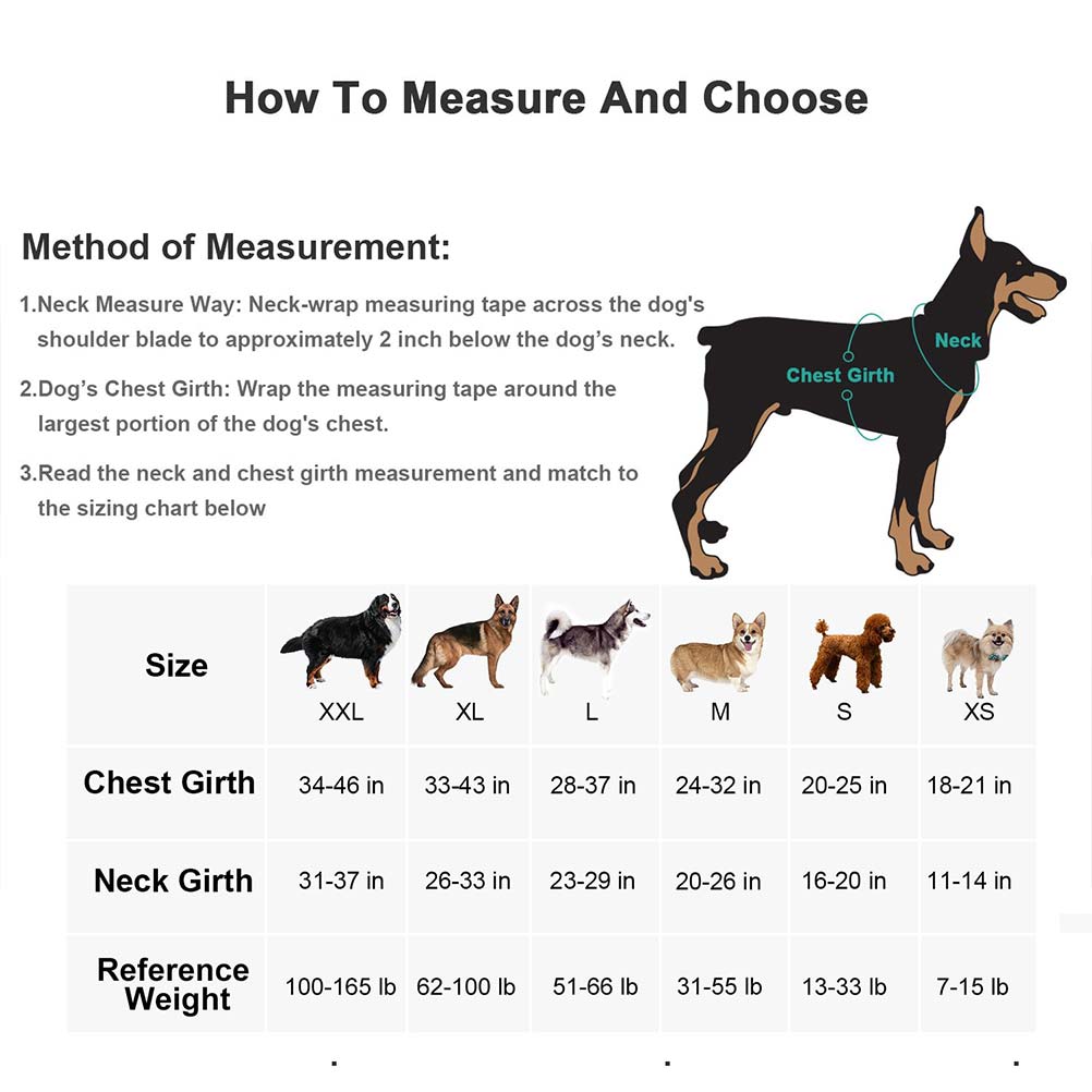 5 Measure For Dog and Cat Vest