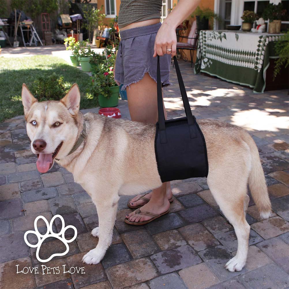 5 Dog Lift Support Harness