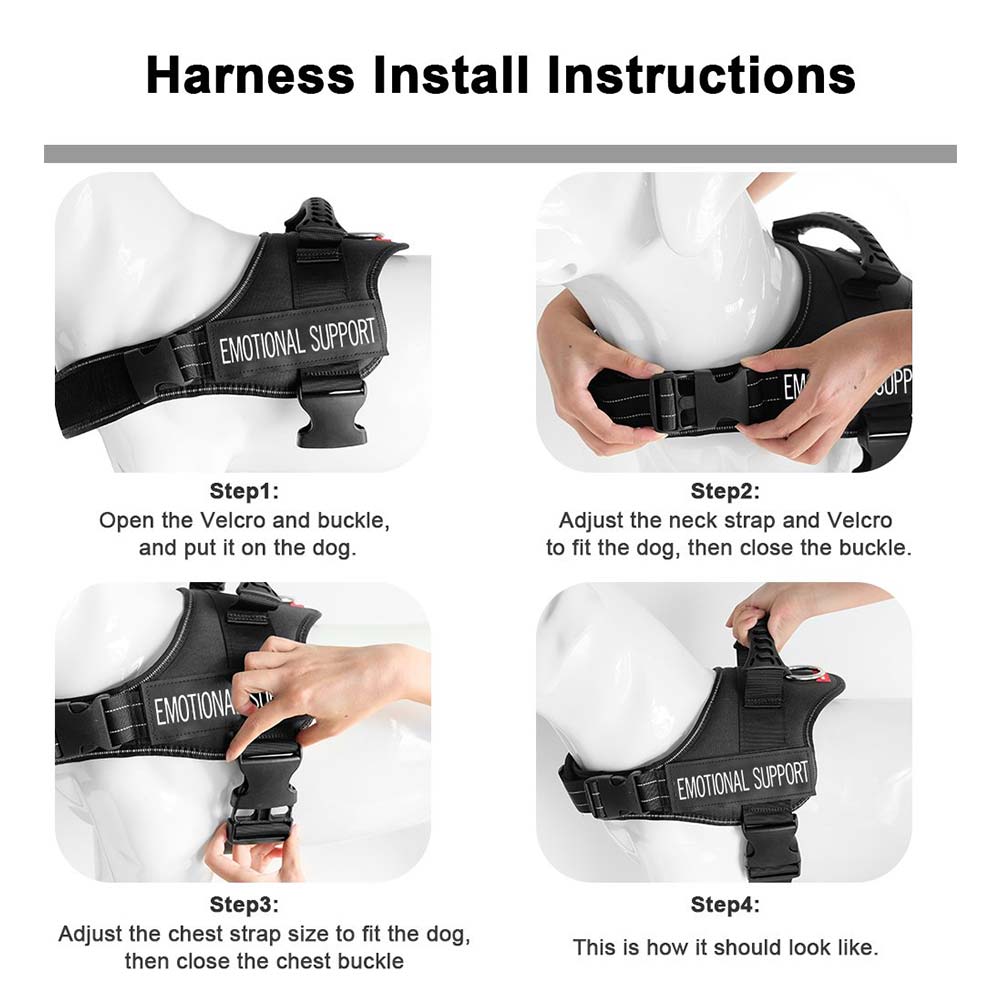 6 Harness Install Instruction