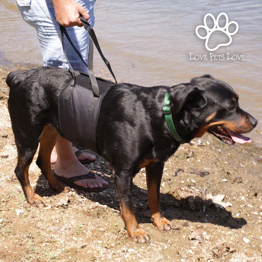 6 Dog Lift Support Harness
