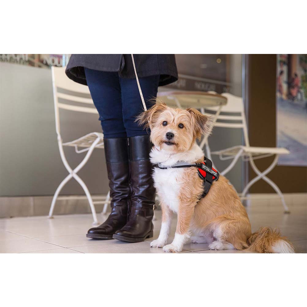 ESA Vest Harness With Patch ESA Vest Harness With Patch