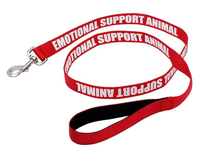 Emotional Support Dog Leash Emotional Support Dog Leash