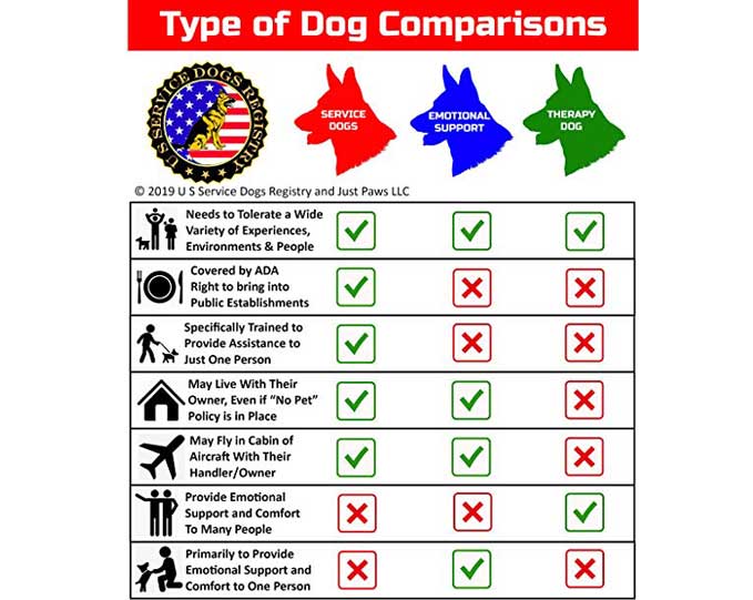 Emotional Support Dog Leash Emotional Support Dog Leash