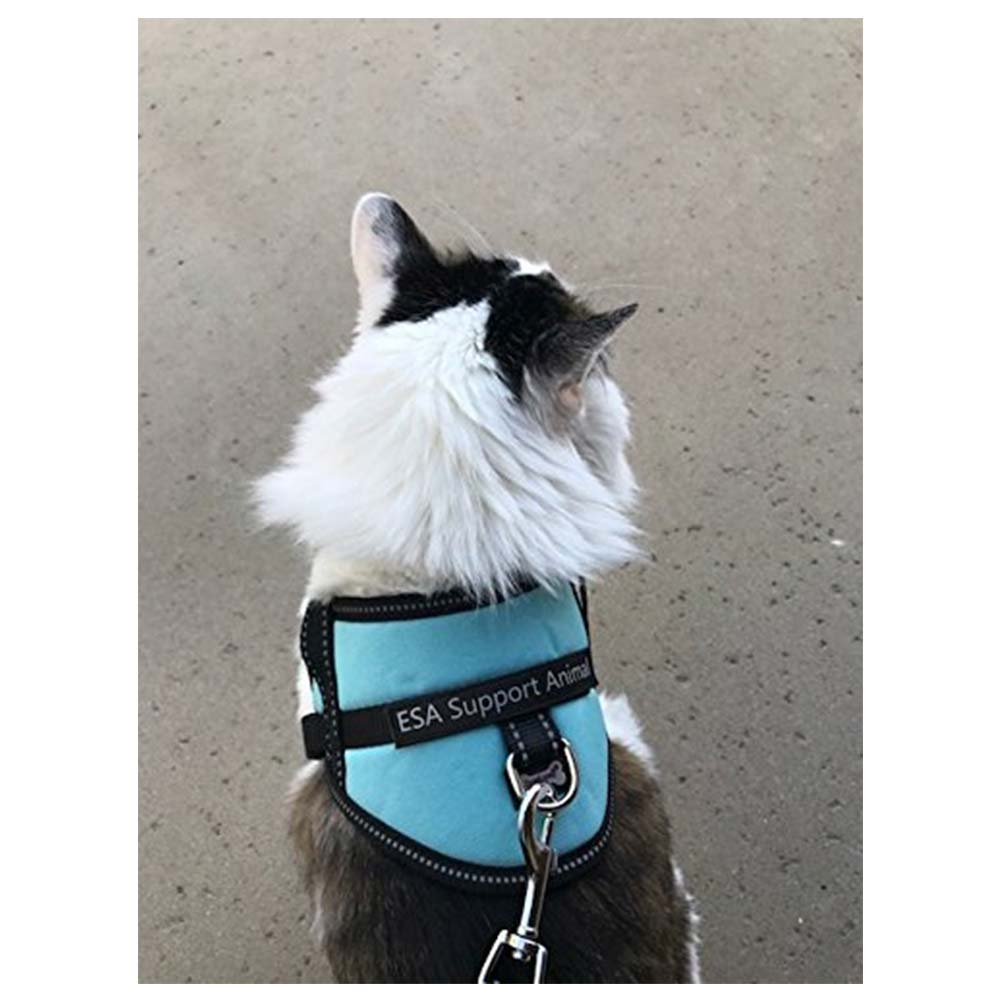 ESA Harness And Leash Set ESA Harness And Leash Set