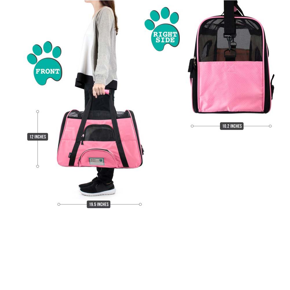 2 Pet Travel Carrier