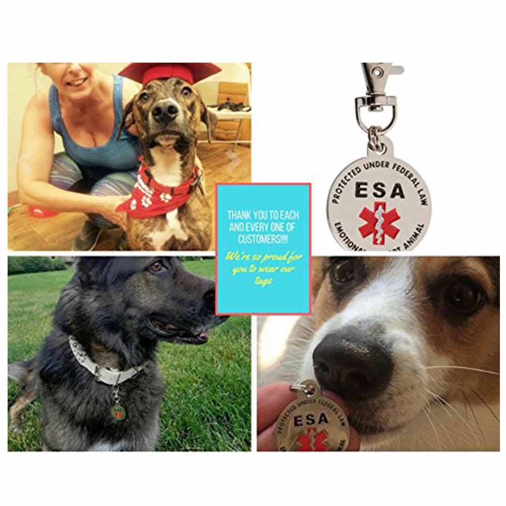 2 Double Sided ESA ID Tag