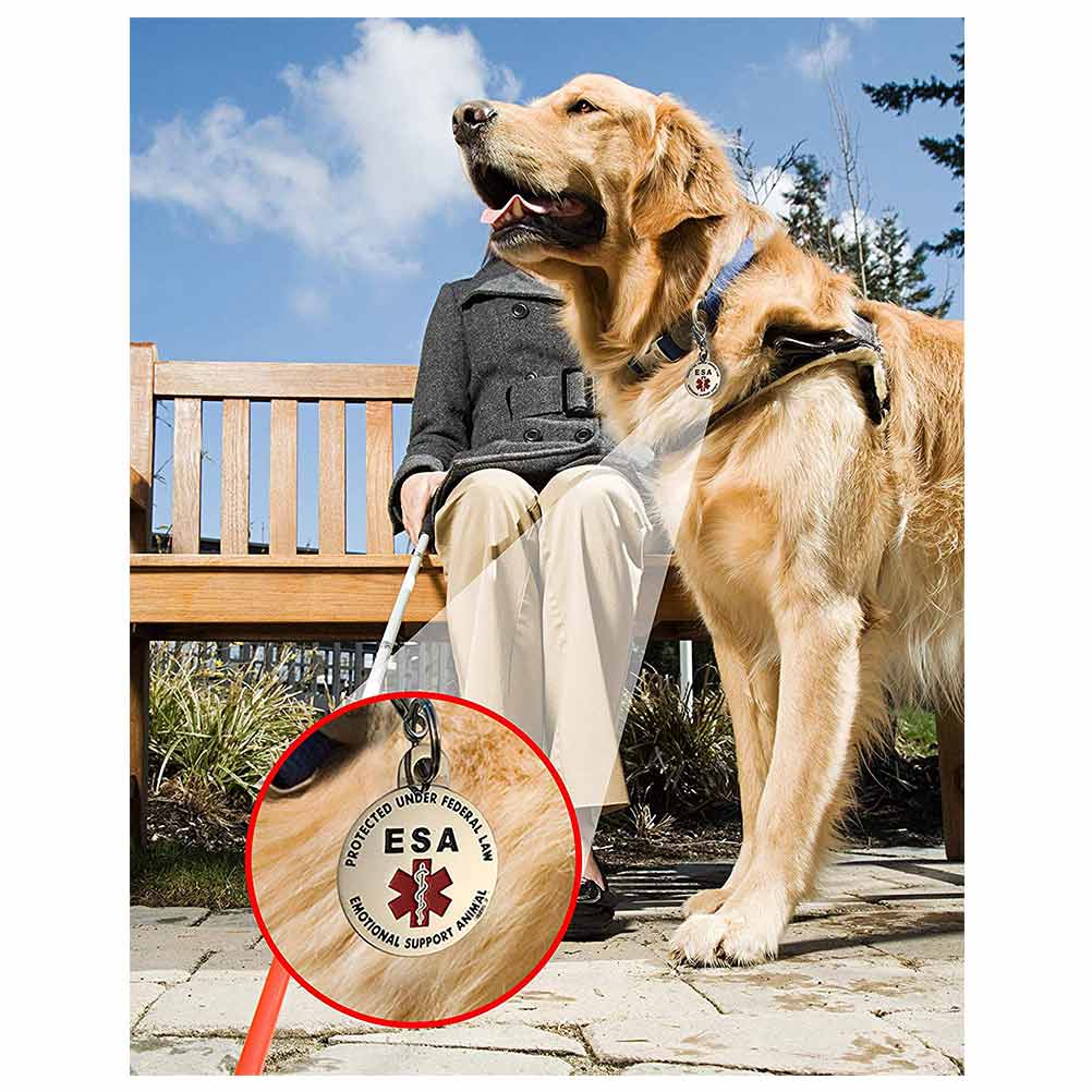 3 Double Sided ESA ID Tag