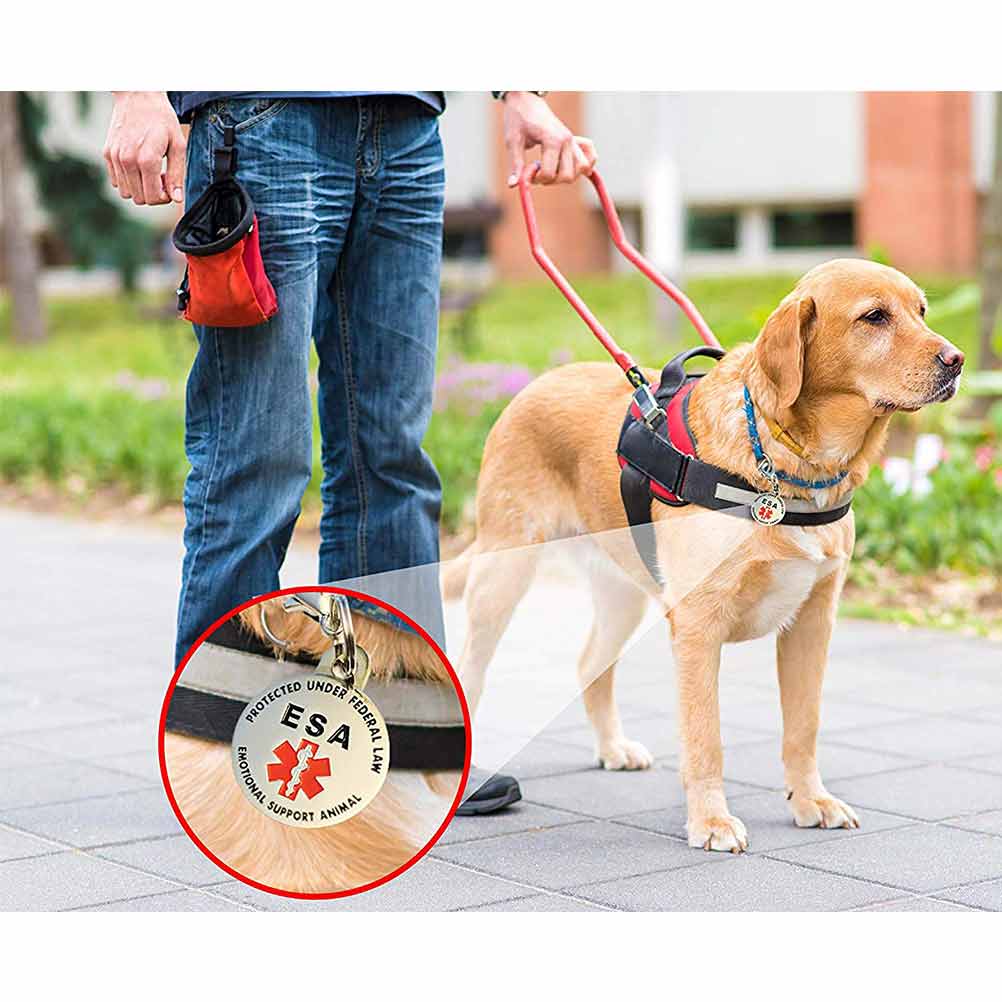 4 Double Sided ESA ID Tag