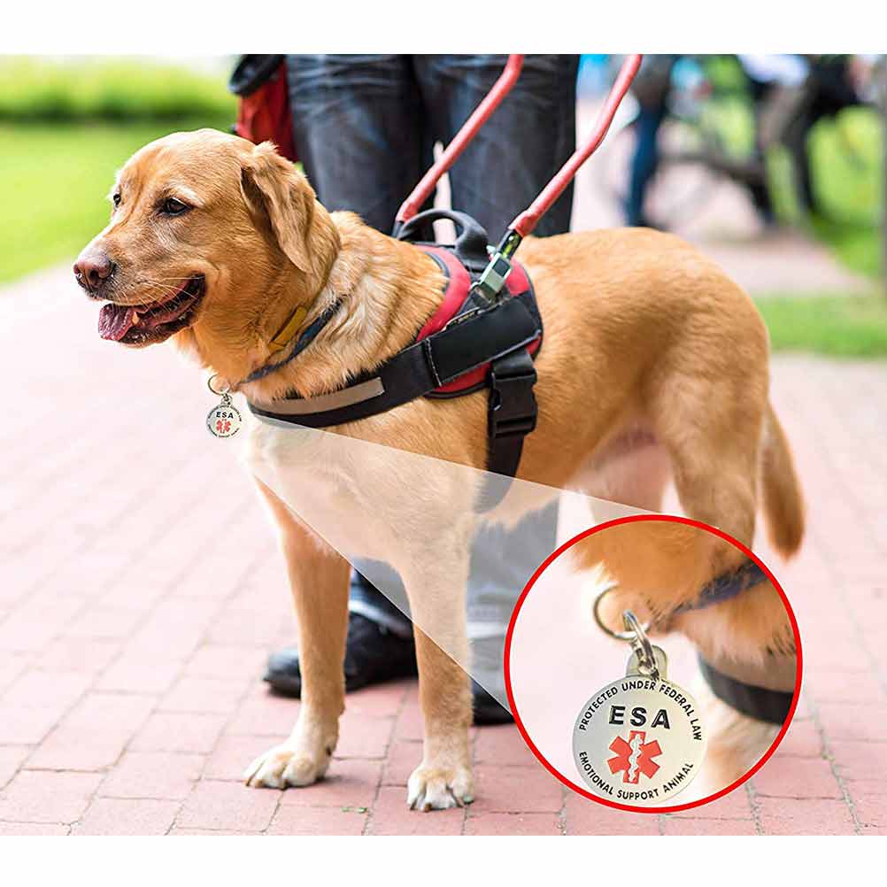 5 Double Sided ESA ID Tag