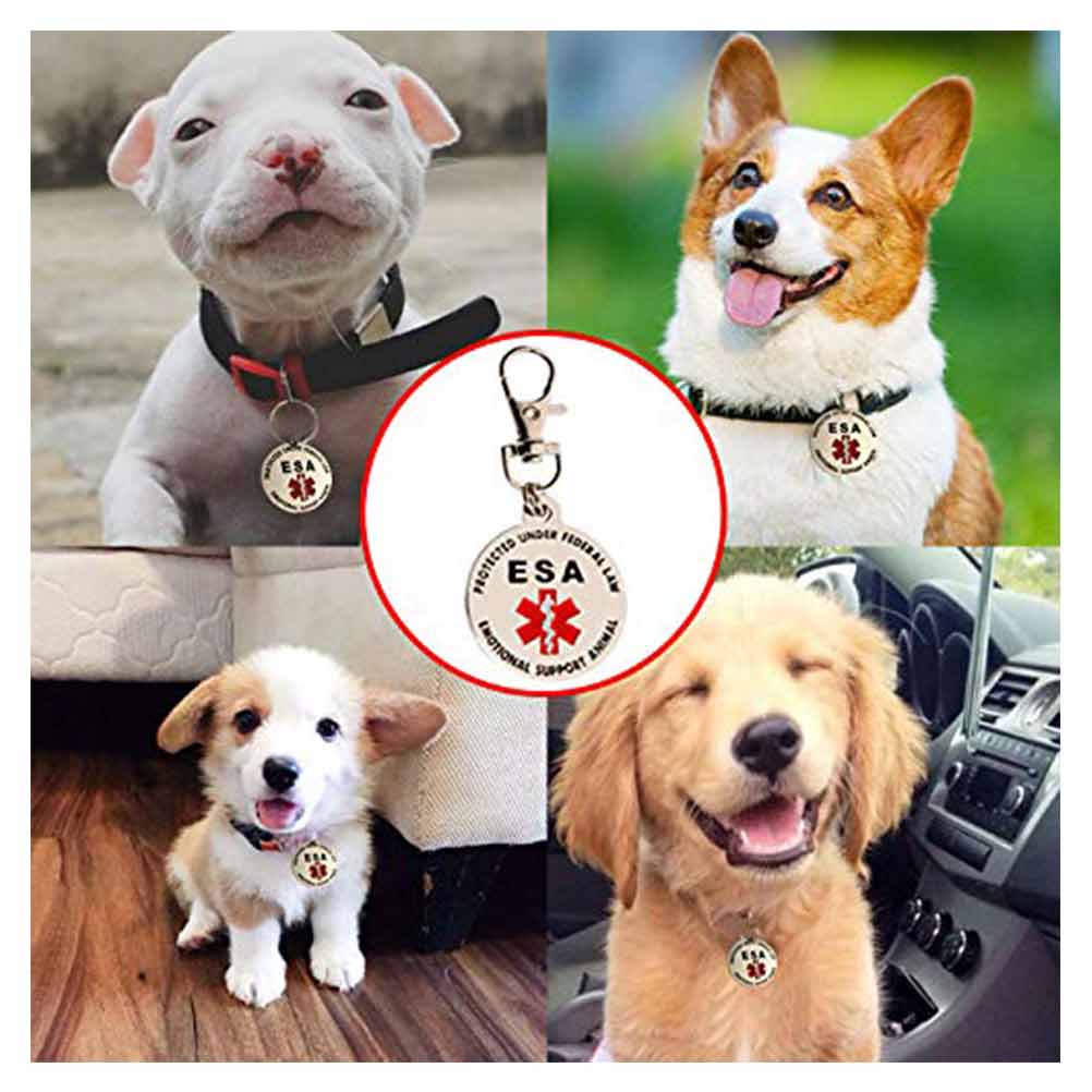 7 Double Sided ESA ID Tag